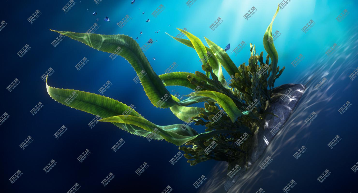 images/goods_img/20210313/Seaweed Animated/5.jpg